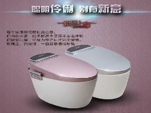 大慧智能马桶