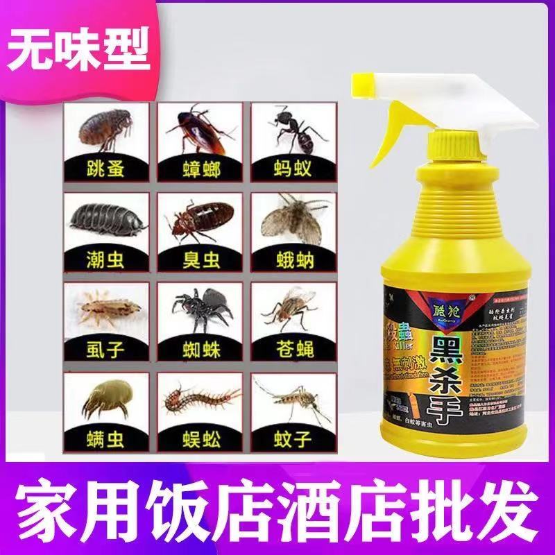 厨房除苍蝇