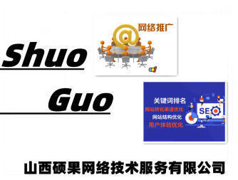 山西seo和网络推广