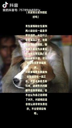 男猴女狗婚姻怎么样