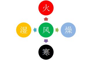 进字五行属什么