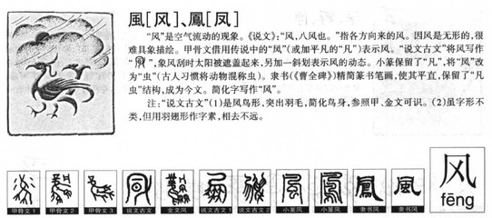 凤字五行属什么