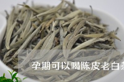 怀孕能喝白茶吗