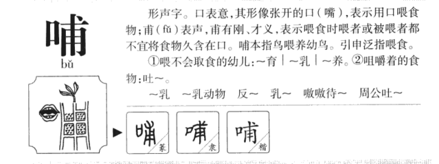甫字五行属什么