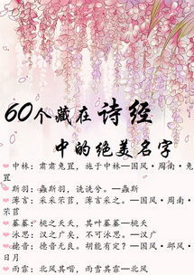 好听的女宝宝昵称