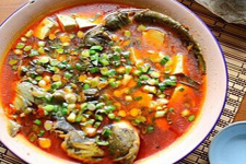 鲶鱼炖豆腐做法大全家常