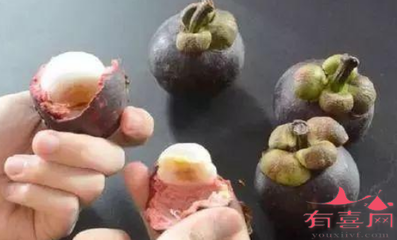 怀孕可以吃山竹