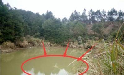 怎么看风水好坏