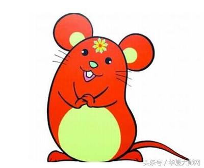 生肖属什么最好