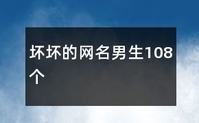 坏坏的网名