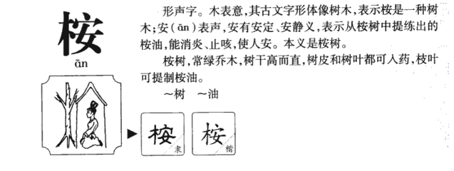 桉字五行属什么