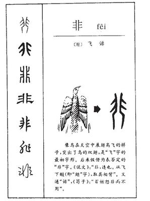飞字属于五行属什么