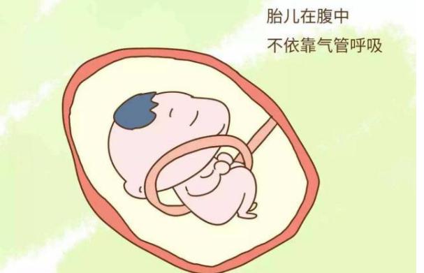 胎儿如何呼吸