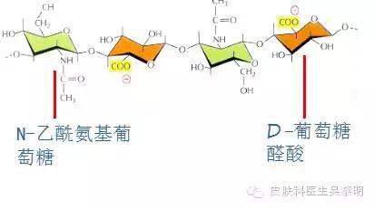 氨基多糖作用和功效