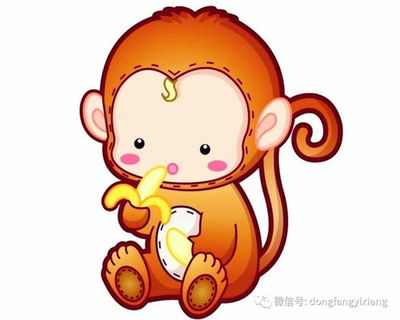 属猴男和属猴女