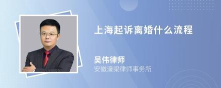 上海诉讼离婚律师