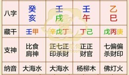 王五行属什么