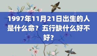 今天出生的孩子五行缺什么