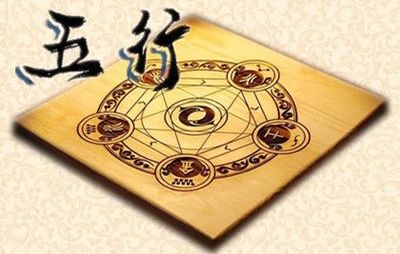 兔字五行属什么
