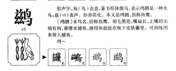 鸿字五行属什么