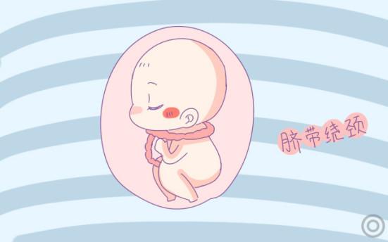 孕晚期胎儿姿势