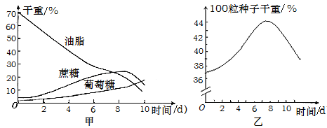 测量水的温度作文怎么写