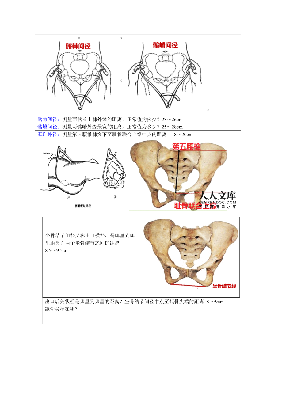 骨盆妇产科知识重点 产科