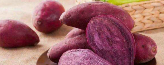 紫薯要煮多长时间