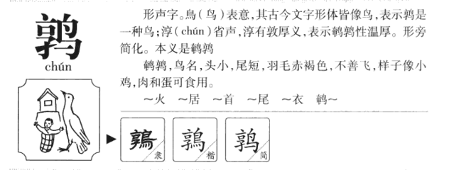 淳字五行