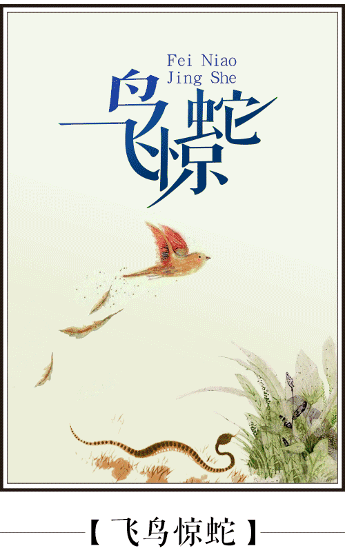 惊蛇入草打一生肖
