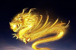 属龙的命