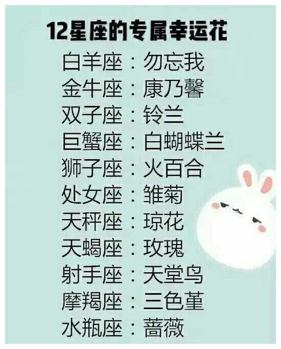 什么和什么星座最配对