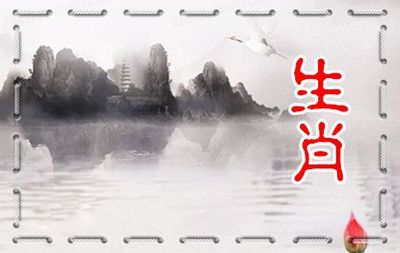 2004年属什么生肖五行