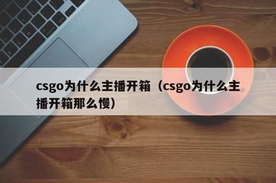 易于使用的CSGO盲盒打开网站(nssad99) 