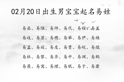 易姓起名