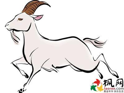 属虎和属羊相配吗