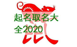 属鼠的公司起名字大全