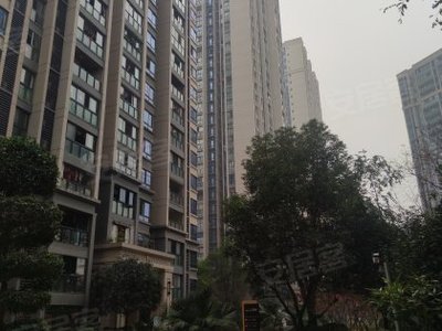 双福时代广场房价