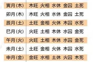 八字旺是什么意思
