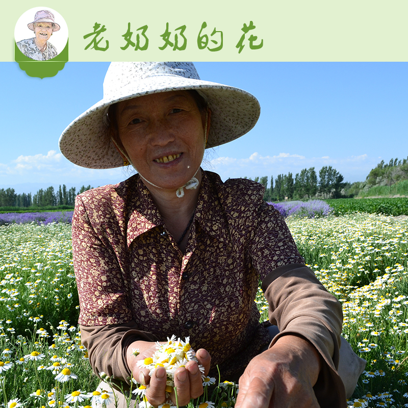 洋甘菊灌肠治痘痘
