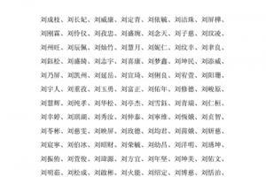 刘姓男宝宝起名