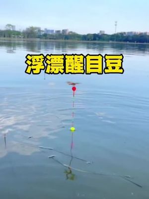 水库钓草鱼钓底还是钓浮