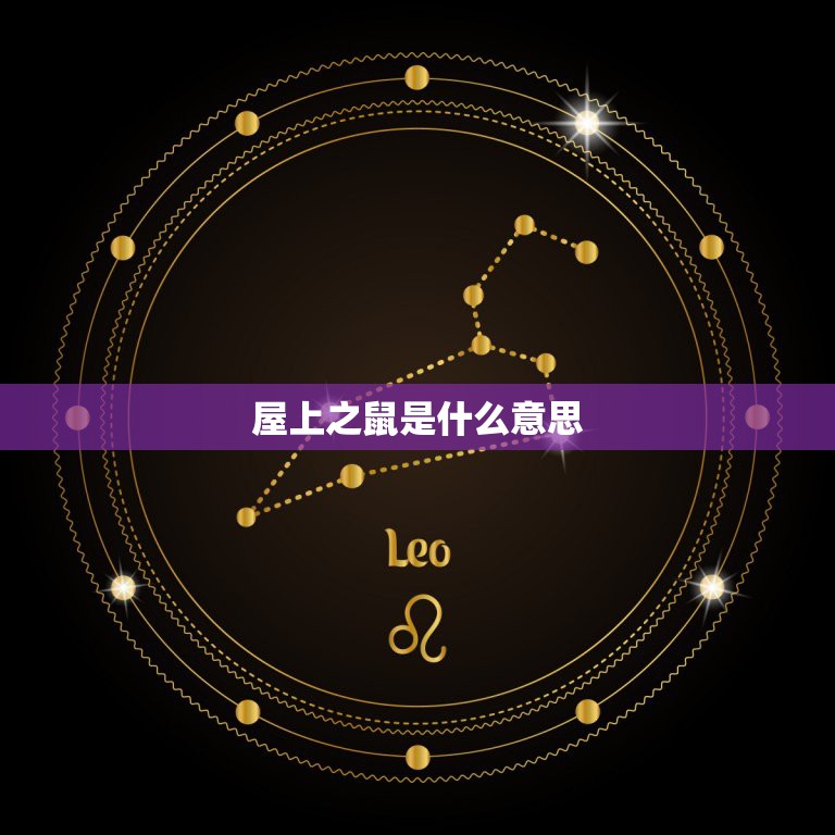 老鼠五行属什么