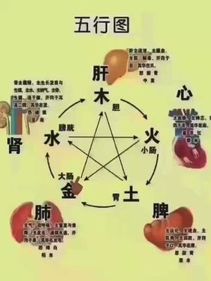 荣的五行