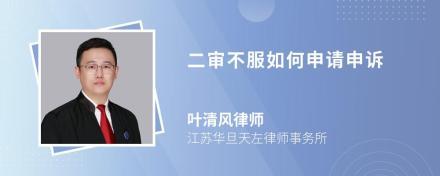 二审申请证人出庭