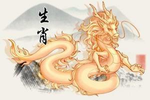 男属龙的和什么属相最配