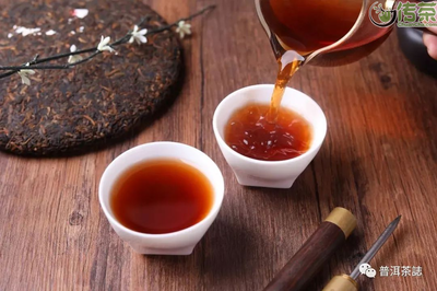 普洱茶品鉴