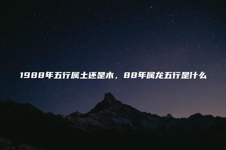 88年五行属什么
