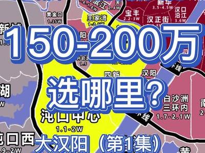 汉阳四新房价