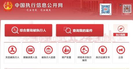 全国执行网信息查询